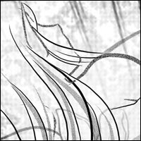 Instinct || Page 11